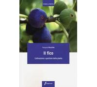 Il fico. Coltivazione e gestione della pianta