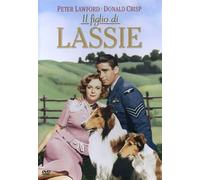 Il Figlio Di Lassie