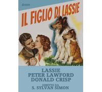 Il Figlio Di Lassie (DVD) Lawford Crisp Lockhart