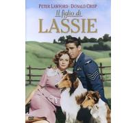 Il Figlio Di Lassie (DVD) Peter Lawford Donald Crisp June Lockhart Nigel Bruce