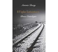 Il Figlio Salvatore. Breve cristologia