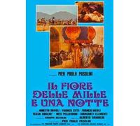 Il fiore delle mille e una notte (DVD) Ninetto Davoli Franco Citti Tessa Bouché