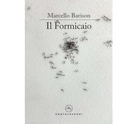 Il formicaio. Un resoconto