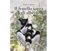 Il fratello sopra gli alberi