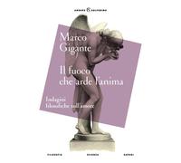 Il fuoco che arde l'anima - 2025 - Solferino (Anders)