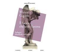 Il fuoco che arde l'anima. Indagini filosofiche sull'amore