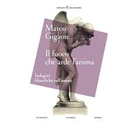 Il fuoco che arde l'anima. Indagini filosofiche sull'amore