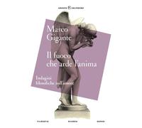Il fuoco che arde l'anima. Indagini filosofiche sull'amore [Paperback] [Oct 24,