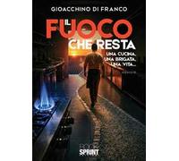 Il fuoco che resta. Una cucina, una brigata, una vita...