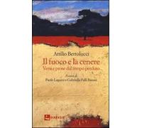 Il fuoco e la cenere. Versi e prose dal tempo perduto