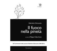 Il fuoco nella pineta