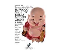 Il fuoco segreto della meditazione. Il Buddha che medita in te. Ciò che hai sempre voluto sapere sul potere della tua mente, spiegato grazie a tue esperienze successive e graduali