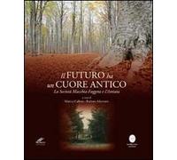 Il futuro ha un cuore antico. La società Maggia Faggeta e l'Amiata