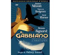 Il Gabbiano