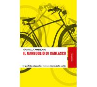 Il garbuglio di Garlasco. Un perfetto colpevole e l'ostinata rice