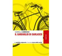 Il garbuglio di Garlasco. Un perfetto colpevole e l'ostinata ricerca della verità