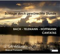 Il Gardellino Bach/Telemann/Hoffmann: Cantatas (CD)