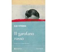 Il garofano rosso