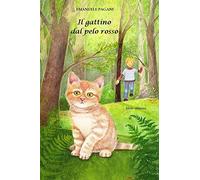 Il gattino dal pelo rosso