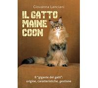 Il gatto Maine Coon