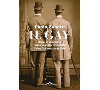 Il gay. Dove si racconta come è stata inventata l'identità omosessuale