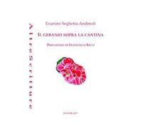 Il geranio sopra la cantina