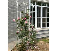 Il giardino, Arco da giardino for piante rampicanti, pergola in acciaio rivestito in PE multicolore, diverse misure(White,90x 240cm)