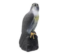 il giardino leggero decora l'aquila realistica esca il falco realistico