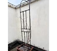Il giardino, Traliccio ad arco da giardino for piante rampicanti, 20 mm, in acciaio rivestito in PE, multicolore, diverse misure(Black,150x240cm)