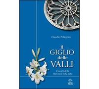 Il giglio delle valli. I luoghi dedicati alla Madonna della Valle