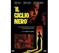 Il giglio nero