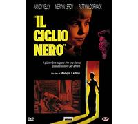 Il Giglio Nero (DVD) William Hopper Henry Jones Nancy Kelly Patricia Mccormack