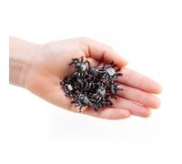 Il giocattolo Squishy Spiky Crawlies Spider Creebler è disponibile in 20 Spider