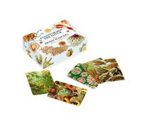 Favoritenpresse Il Gioco Memo Ernst Haeckel: Forme d'Arte della Natura (con Booklet)