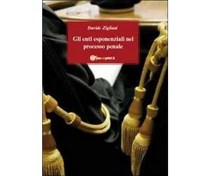 Il giudizio abbreviato di Davide Zigliani, 2011, Youcanprint