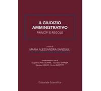 Il giudizio amministrativo