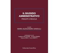 Il giudizio amministrativo principi e regole
