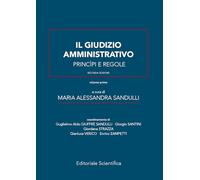 Il giudizio amministrativo. Principi e regole (Vol. 1)