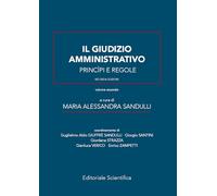 Il giudizio amministrativo. Principi e regole (Vol. 2)