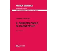 Il giudizio civile di Cassazione