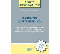 Il giudizio di ottemperanza. Profili sostanziali e processuali dell'esecuzione avverso la p.a. dinanzi al giudice amministrativo