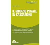 Il giudizio penale in Cassazione