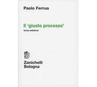 Il giusto processo