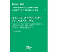 Il giusto processo di cassazione tra questioni rilevabili d'ufficio e rispetto del principio del contraddittorio