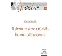 Libri Tedoldi Alberto M. - Il Giusto Processo (In)Civile In Tempo Di Pandemia