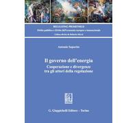 Il governo dell'energia. Cooperazione e divergenze tra gli attori della regolazione