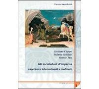 Il governo imprenditoriale. Vol. 132: Gli incubatori d'impresa: esperienze internazionali a confronto.