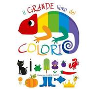 Il grande libro dei colori. Ediz. a colori