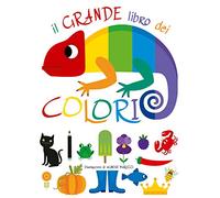Il grande libro dei colori. Ediz. a colori