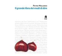 Il grande libro dei modi di dire